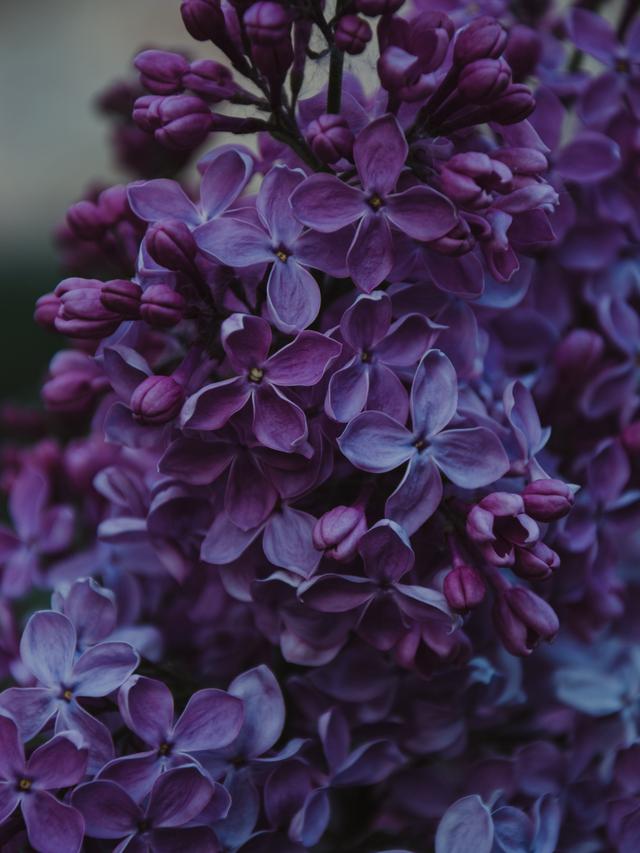 10 Gambar Background Keren Untuk Wallpaper Pahami Arti Warnanya Hot Liputan6 Com See more of baground keren on facebook. 10 gambar background keren untuk
