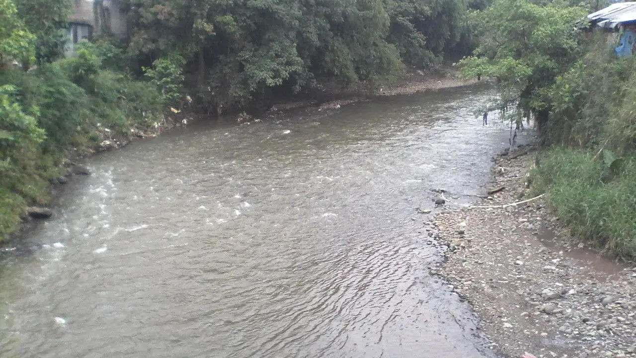 Maling di Bogor