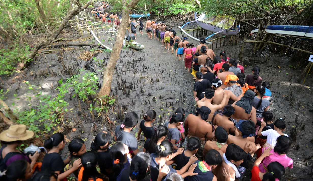 Warga berjalan menyusuri hutan mangrove saat mengikuti tradisi mandi lumpur atau mebuug-buugan di Desa Kedonganan, Denpasar, Bali, Jumat (8/3). Mebuug-buugan diikuti ratusan warga ini digelar di hutan mangrove. (Sonny Tumbelaka/AFP)