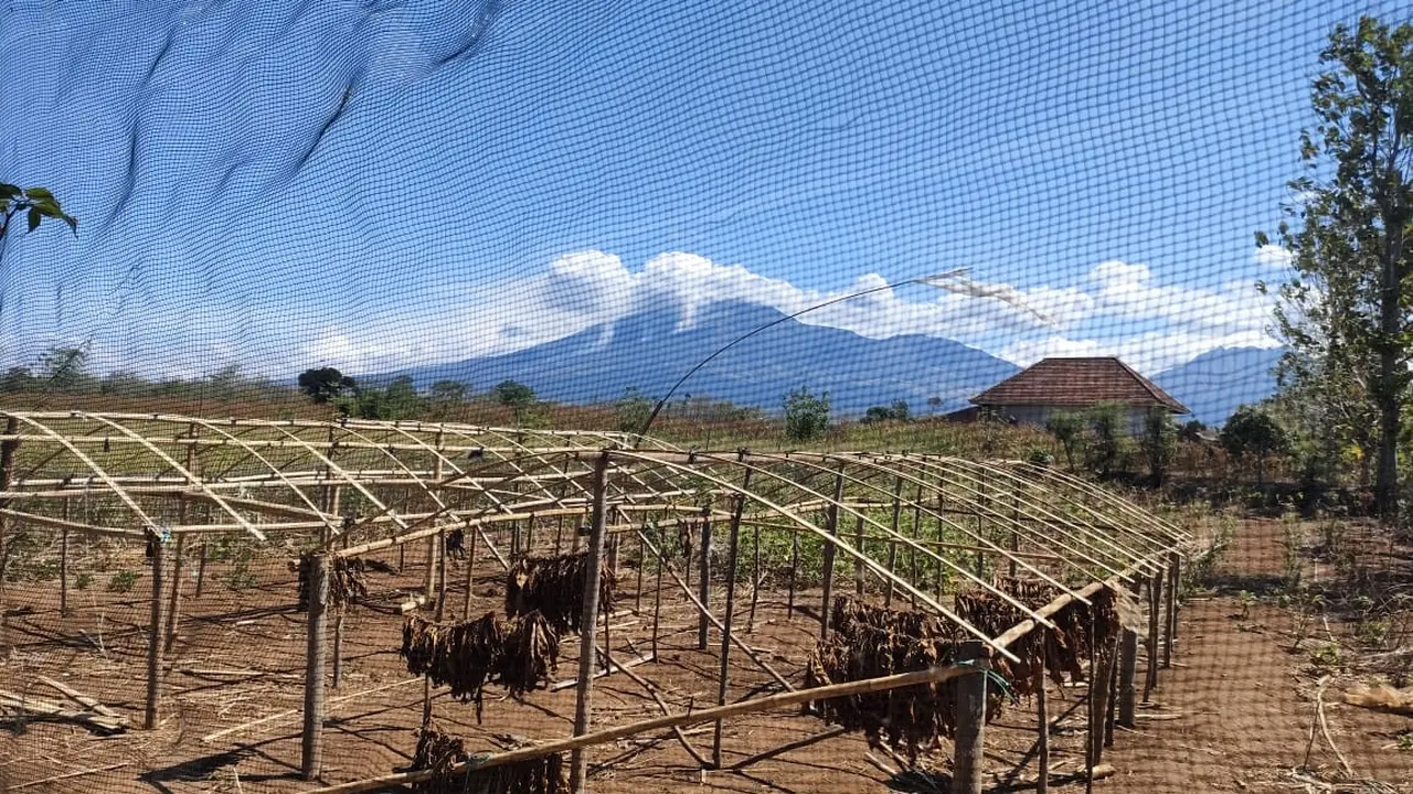 Kebakaran hutan di lereng Gunung Merapi Ungup- Ungup nampak terlihat jelas dari Desa Sidowangi, Wongsorejo, Banyuwangi (Istimewa)