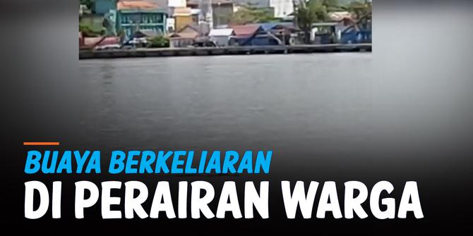 VIDEO: Viral, Buaya Berputar-Putar 30 Menit di Perairan Warga