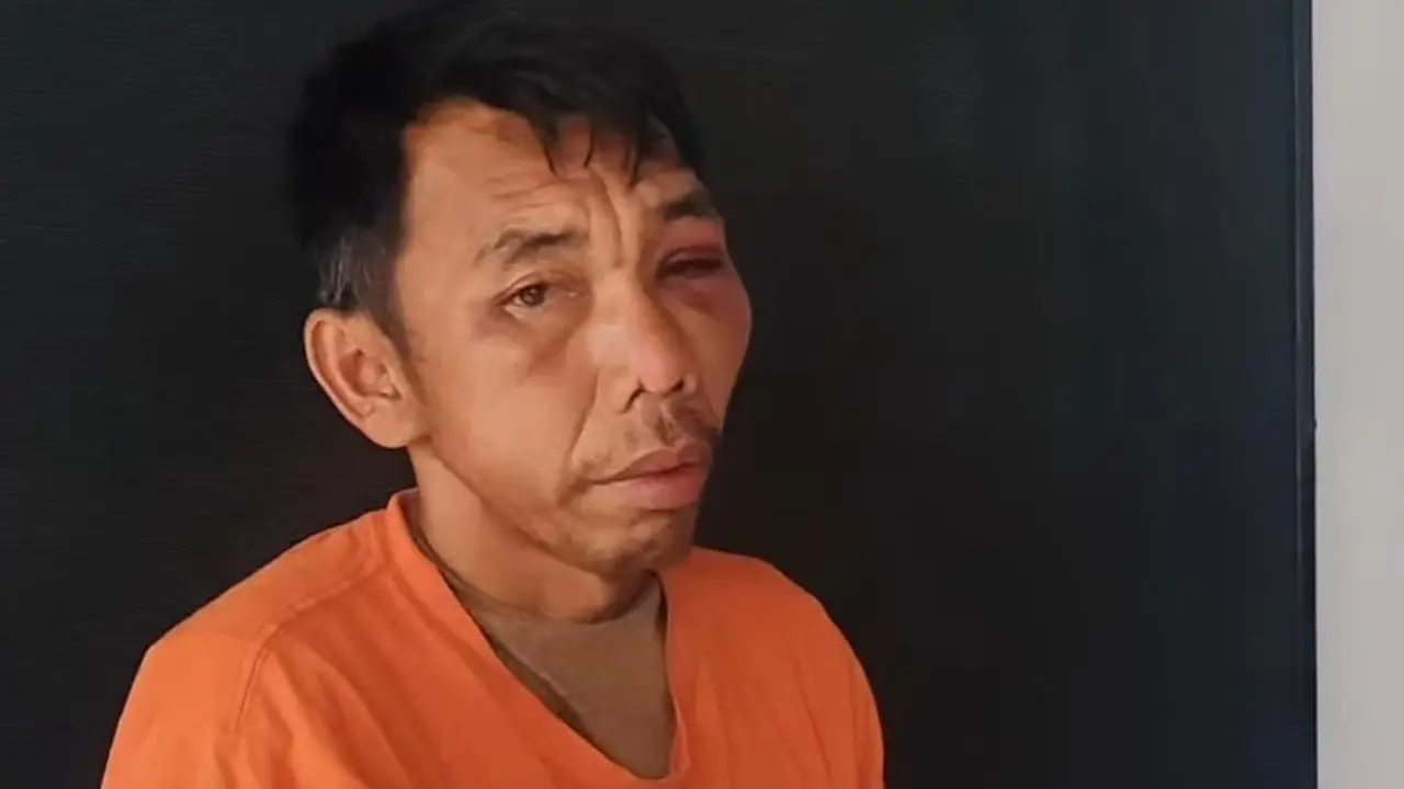 Pelaku Pemerkosaan dan Pembunuhan Keponakan Sendiri di Padang Lawas Utara, Sumatera Utara, Darwin Harahap