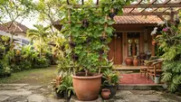 7 Cara Menanam Anggur dalam Pot, Mudah Dirawat dan Hasil Panen Manis