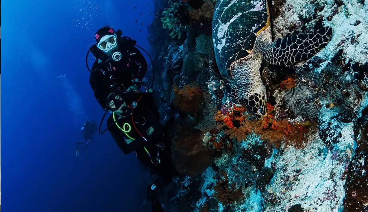 Ke Banda Naira tentu Naysilla pun melakukan diving. Tampak ia pun mengenakan baju diving hitam saat menyelam ke dasar laut.  [@naymirdad]
