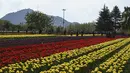 Taman ini dibuka pada 2008, yang merupakan gagasan dari Ghulam Nabi Azad, mantan Ketua Menteri Jammu dan Kashmir pada 2006-2007. (Photo by TAUSEEF MUSTAFA / AFP)