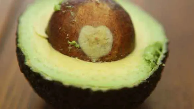 Courtesy southernfairytail/Flickr.com