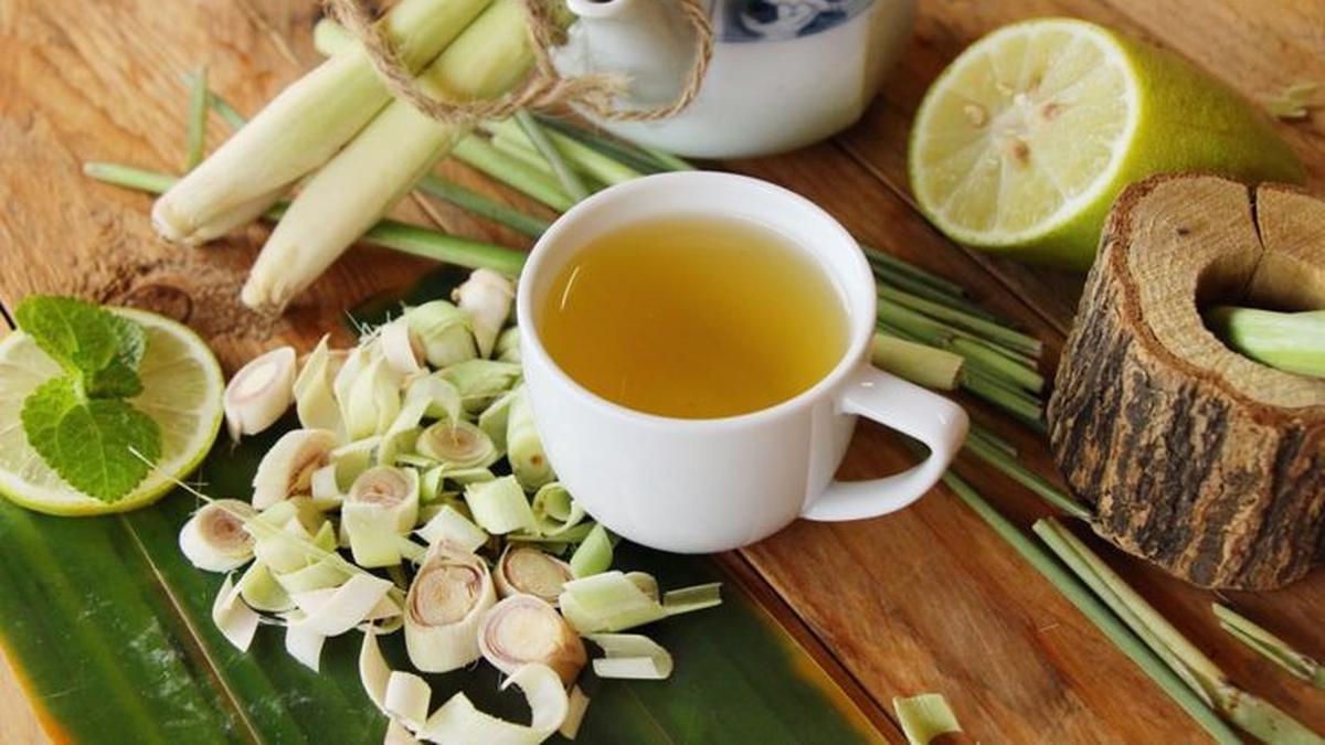 Resep Minuman dari Serai dan Kemangi, Ketahui Manfaat Baiknya bagi Tubuh
