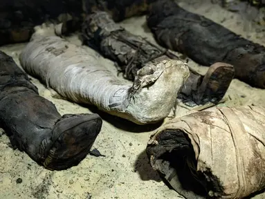 Mumi terbungkus kain linen ditemukan di ruang pemakaman di Provinsi Minya, Mesir, Sabtu (2/2). Kementerian Barang Antik Mesir mengumumkan baru menemukan tiga makam kuno dengan lebih dari 40 mumi yang terpelihara dengan baik. (AP Photo/Roger Anis)