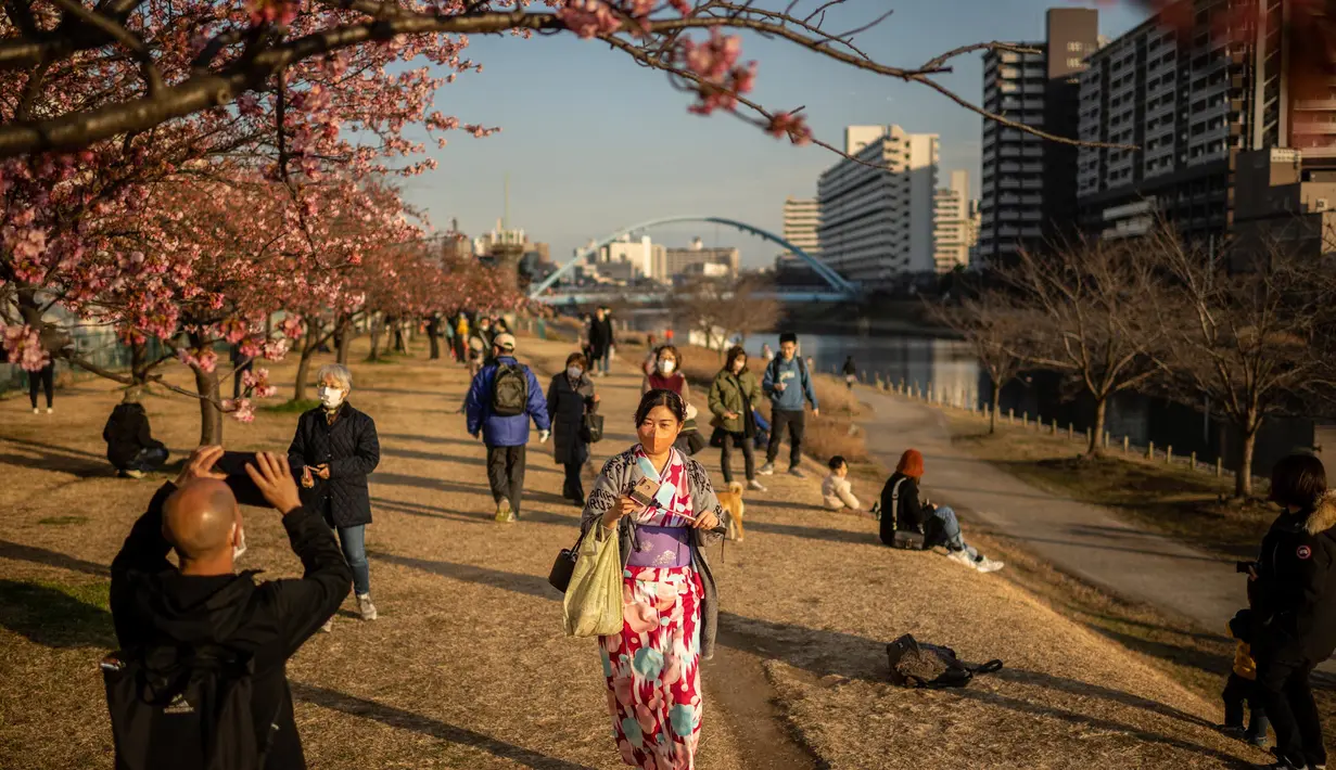 Orang-orang berjalan melewati pohon sakura di sebuah taman di distrik Edogawa, Tokyo, Jepang pada Kamis 23 Februari 2023. Untuk tahun 2023, menurut perkiraan resmi Japan Meteorological Corporation, bunga sakura di Tokyo diperkirakan akan mulai mekar pada tanggal 21 Maret. (Philip FONG/AFP)