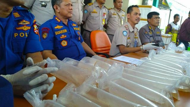 Kantong berisi ribuan benih baby lobster disita polisi dari penyelundup dengan tujuan Malaysia.