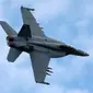 Pesawat Jet F/A-18E Super Hornet (AFP)