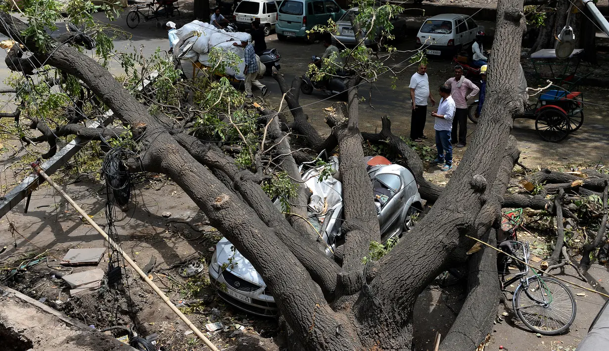 Sejumlah warga melihat mobil yang tertimpa pohon yang tumbang akibat  badai angin kencang di New Delhi, India (16/5). (AFP Photo/Sajjad Hussain)