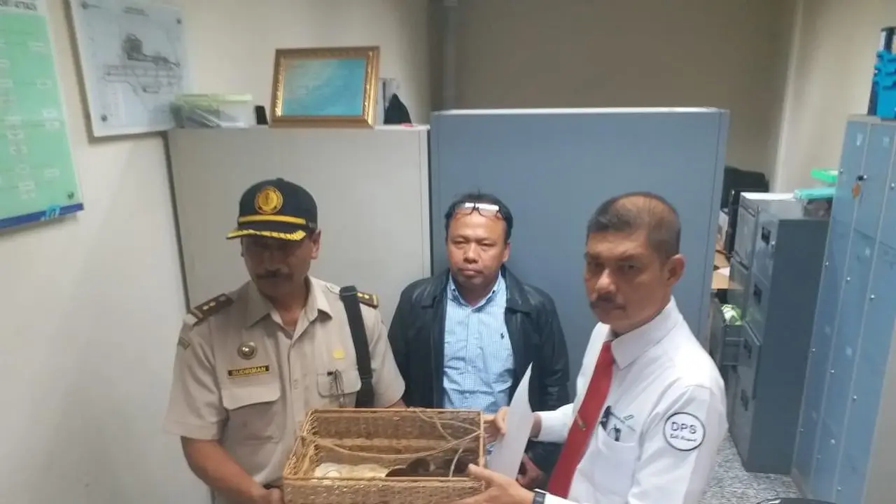 Turis Rusia bawa Berang-berang dan Kalajengking