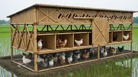7 Model Kandang Ayam Bambu Modern Sirkulasi Udara Maksimal untuk Ternak Rumahan