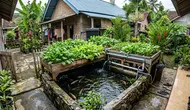 7 Ide Memanfaatkan Pekarangan Kecil agar Mengurangi Biaya Belanja Dapur