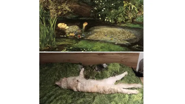 6 Potret Kucing Peragakan Gaya Karya Seni Terkenal, Lukisan hingga Patung