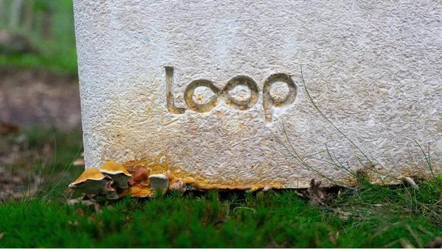 Peti Mati Hidup Pertama Di Dunia