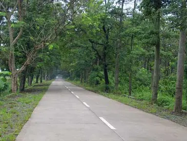 Citizen6, Indramayu: Jalan Sanca Cikamurang Indramayu, tapi di jalan haurgeulis Cikamurang via Gantar hancur, rusak dan berlubang. Tak sedikit truk pengangkut padi hasil panen terbalik melintasi jalan tersebut. (Pengirim:Tresna)
