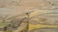 70.000 Ha Sawah Terdampak Bencana Sumatera, Produksi Beras Terganggu?