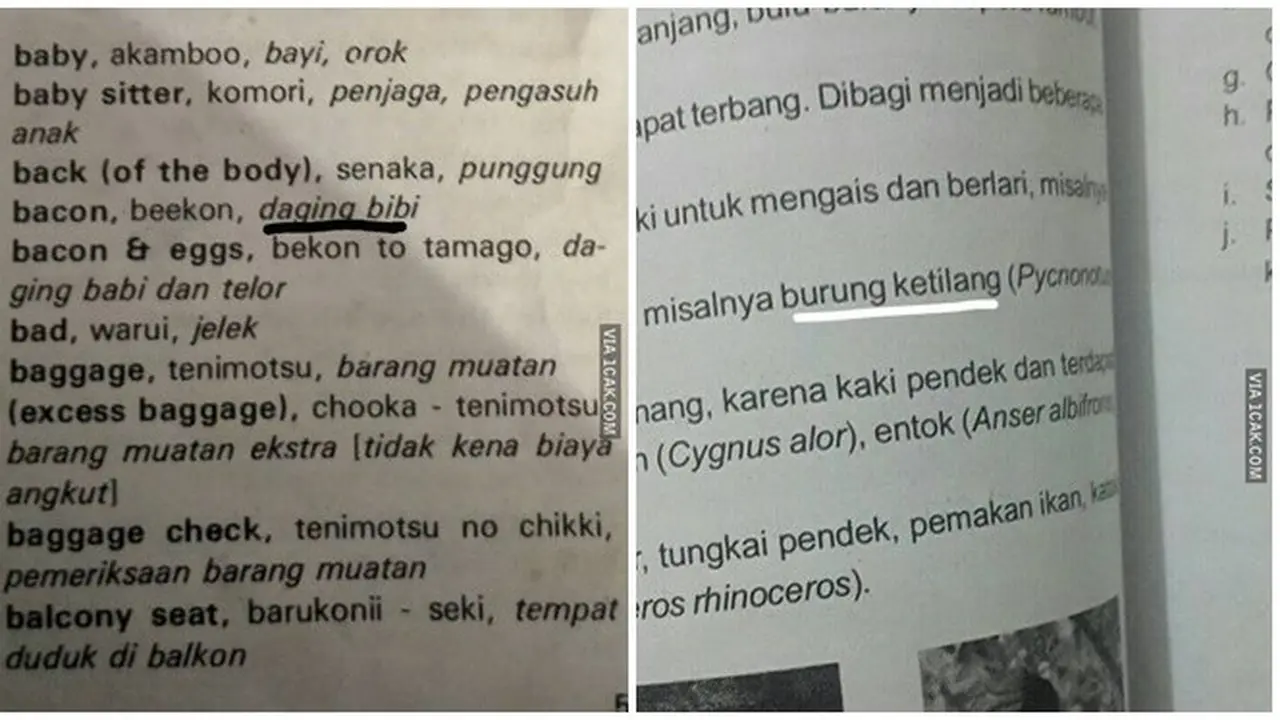 6 Tulisan Typo di Soal Ujian Siswa Ini Nyeleneh, Maknanya Jadi Berbeda