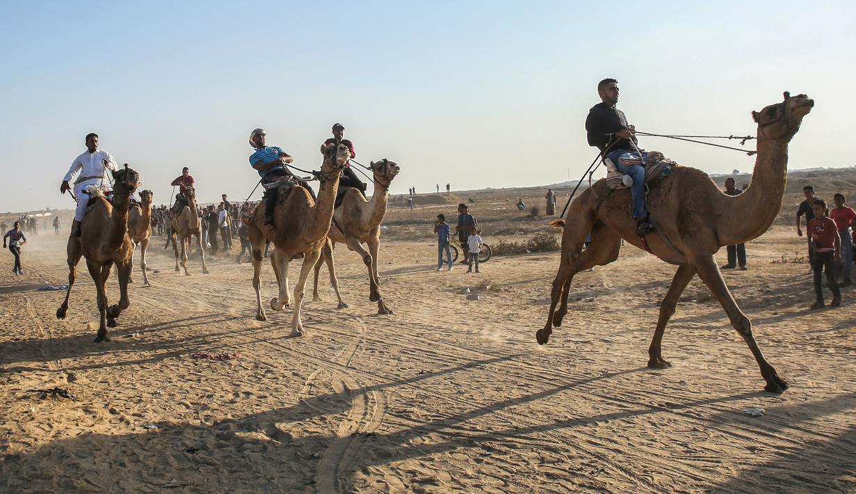 Peserta joki  bersaing dalam perlombaan balap unta lokal di Rafah, Jalur Gaza selatan (20/10/2019). Balapan unta ini menggunakan lintasan bekas landasan bandara Gaza yang sudah hancur di Rafah, Gaza selatan. (AFP Photo/Said Khatib)