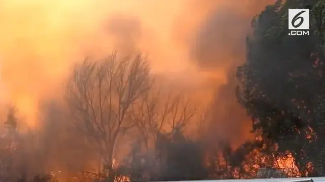 Kebakaran besar yang menelan beberapa hektar rumput di Sandy, Utah. Sekitar 40 petugas pemadam kebakaran dari berbagai agen di seluruh Salt Lake Valley bekerja untuk memadamkan api.