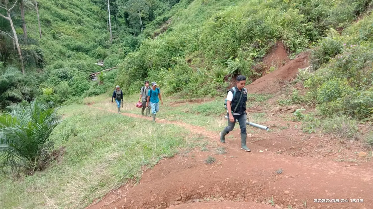 Tim BKSDA Resor Pasaman melakukan pemantauan setelah adanya konflik manusia dengan harimau di Pasaman. (Liputan6.com/ Dok BLSDA Pasaman)