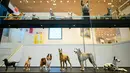 Sejumlah tokoh anjing yang ditampilkan di museum anjing bernama Museum of the Dog di New York City, 1 Februari 2019. Selain lukisan, museum ini juga akan memajang aneka patung, hiasan porselen, buku, hingga poster film bertema anjing (Johannes EISELE/AFP)