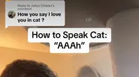 Cat Whisperer Alec Newman, TikToker yang sering ajarkan bahasa kucing di media sosial. (Sumber: Instagram @alecanewman)