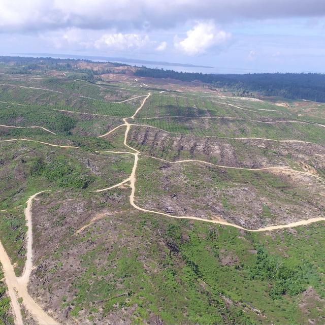 Selamat Datang Sawit Selamat Tinggal Hutan Halmahera