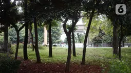 Kondisi Taman Martha Tiahahu di kawasan Blok M, Jakarta, Selasa (18/2/2020). Keasrian dan kenyamanan taman yang memiliki luas 20.960 meter persegi tersebut dinilai terbengkalai dan tak layak menjadi taman kota karena tidak terawat. (Liputan6.com/Immanuel Antonius)