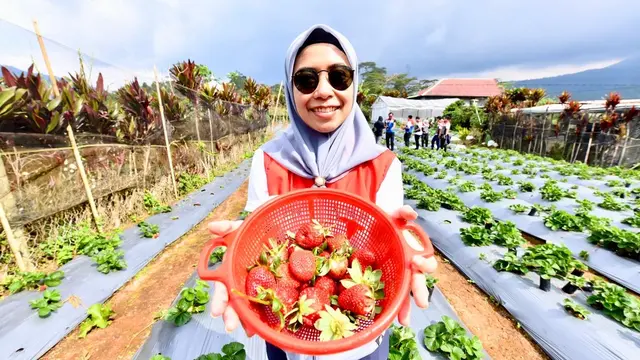 Pertamina Berdayakan Desa Rantau Dedap Muara Enim, Dari Energi Bersih hingga Wisata Edukasi