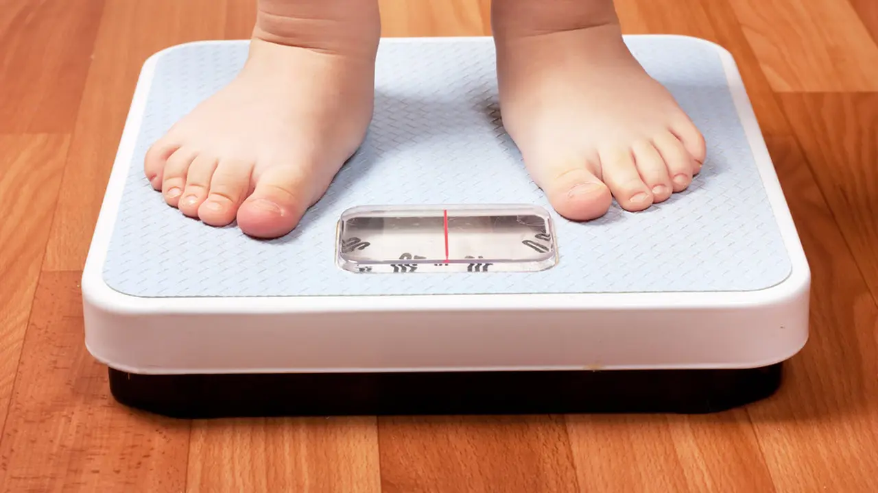 Penambah Berat Badan Anak 2 Tahun