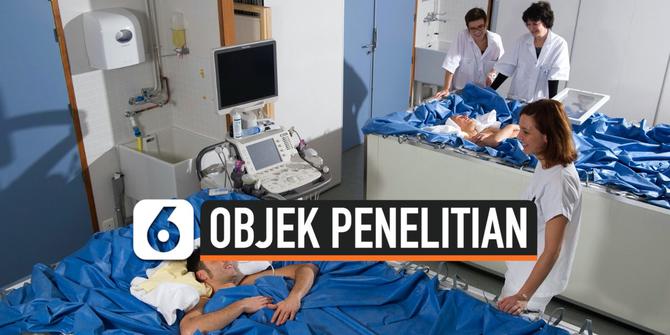 VIDEO: Kerjanya Cuma Tidur, Gajinya Rp 222,9 Juta, Mau?