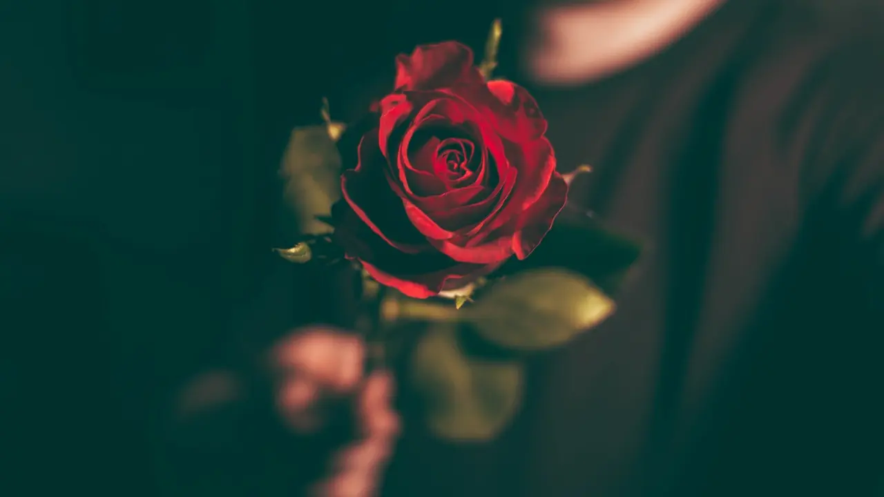 [bintang] Biar Seru, Rayakan Valentine sama 4 Zodiak yang Romantis Nggak Ada Obat Ini
