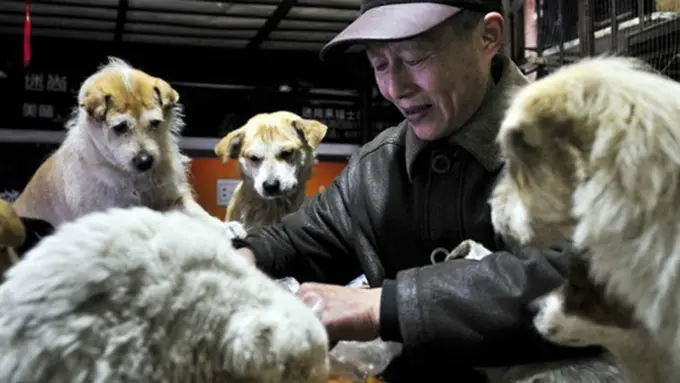 Photo: Copyright shanghaiist.com