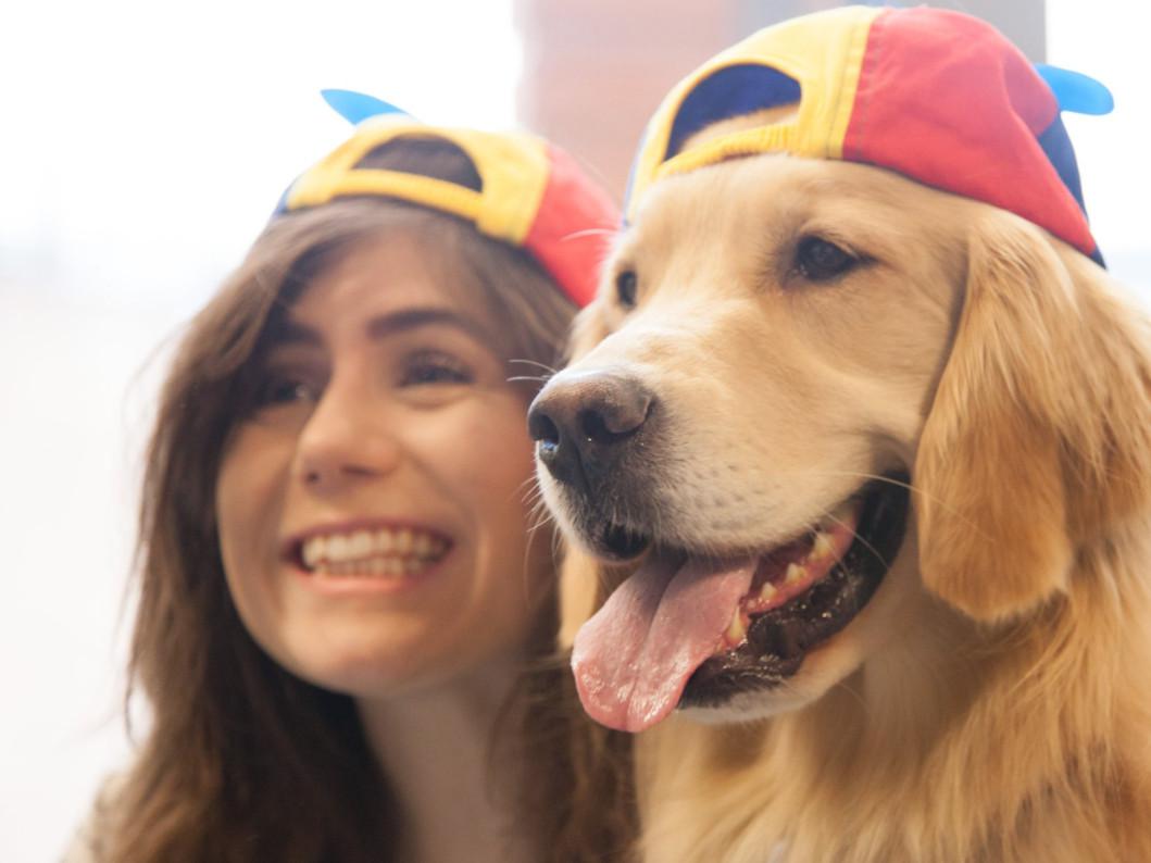 Sebutan untuk karyawan atau anjing yang dimiliki karyawan Google (Sumber: Twitter/Google UK)