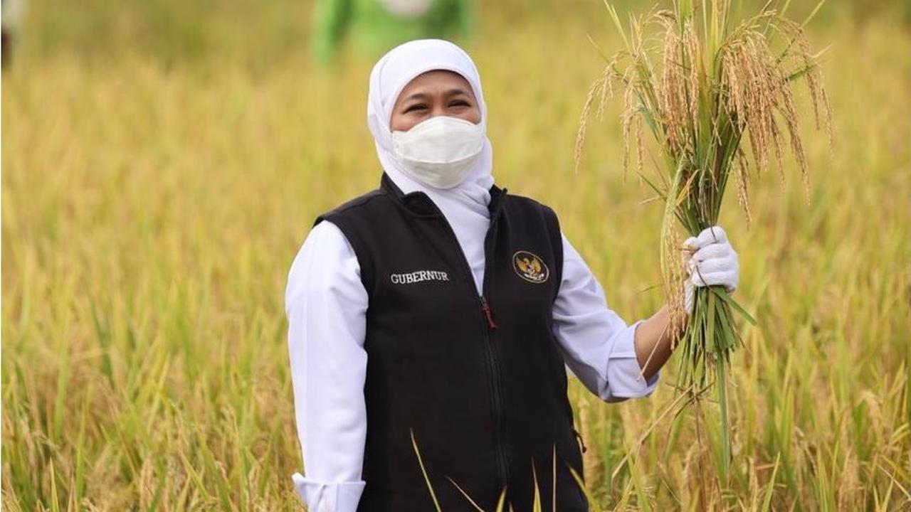Gubernur Jawa Timur (Jatim) Khofifah Indar Parawansa. (Dian Kurniawan/Liputan6.com)