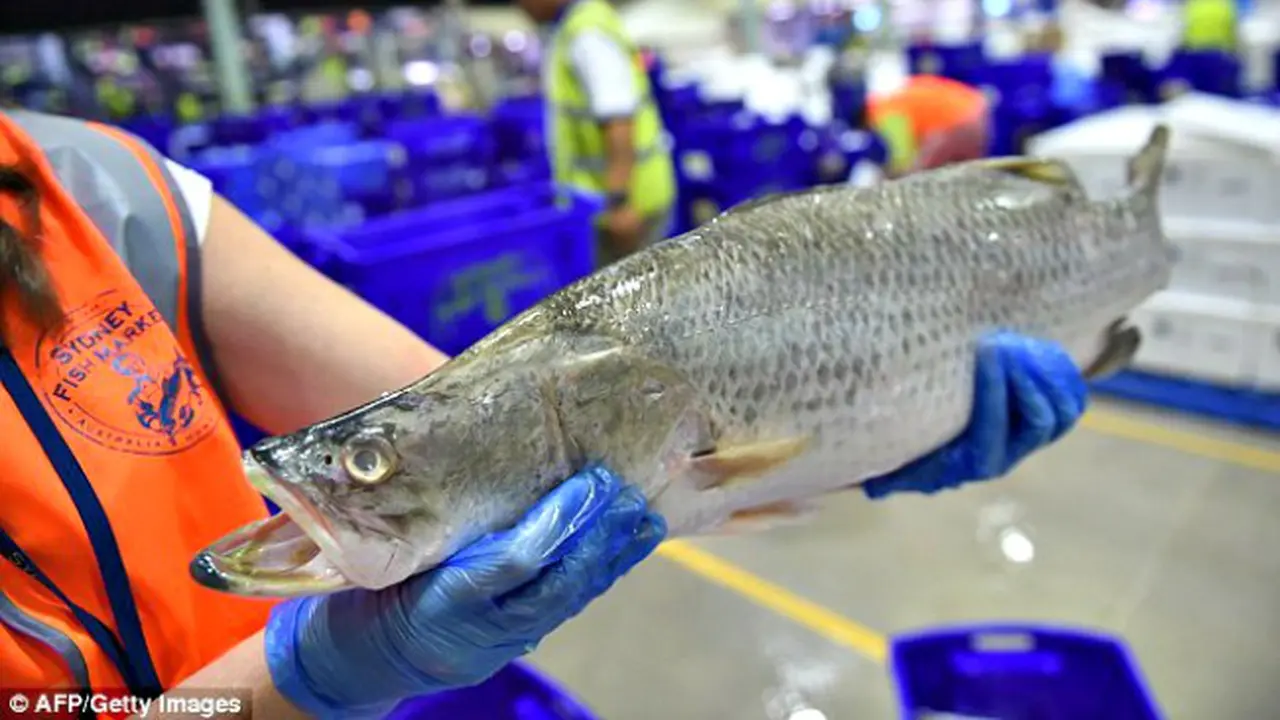 Lomba Mancing Berhadiah 9,8 Miliar Rupiah