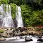 Kampung Anyar, jadi tempat terbaik untuk menikmati pesona air terjun di Banyuwangi.