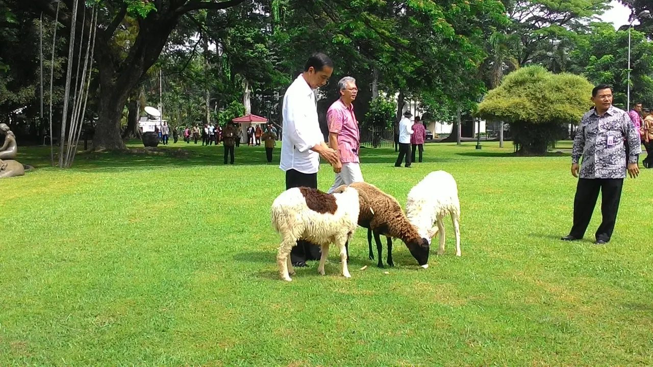 Jokowi