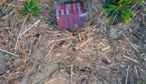 Banyak rumah hanyut, rusak berat hingga tertimbun lumpur yang menggunung. Tampak foto udara menunjukkan sampah kayu mengelilingi sebuah rumah di tengah kerusakan akibat banjir di Meureudu, Kabupaten Pidie Jaya, Provinsi Aceh, pada 30 November 2025. (CHAIDEER MAHYUDDIN/AFP)