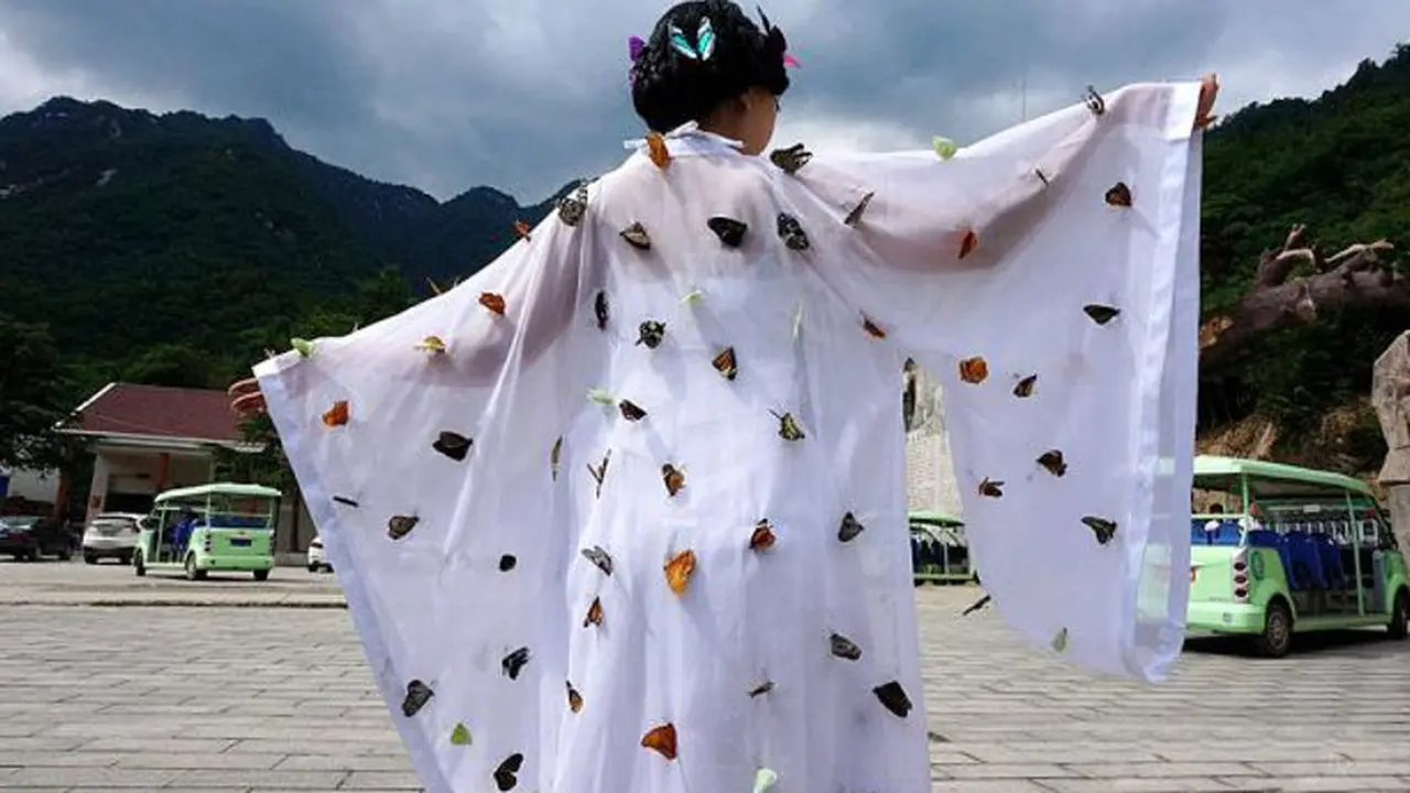 Butterfly Festival Bao Tianman 0514 1