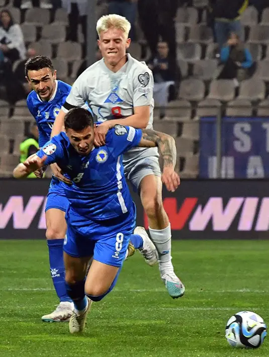 Dengan hasil ini Bosnia and Herzegovina berhasil mengamankan tiga poin. (ELVIS BARUKCIC/AFP)