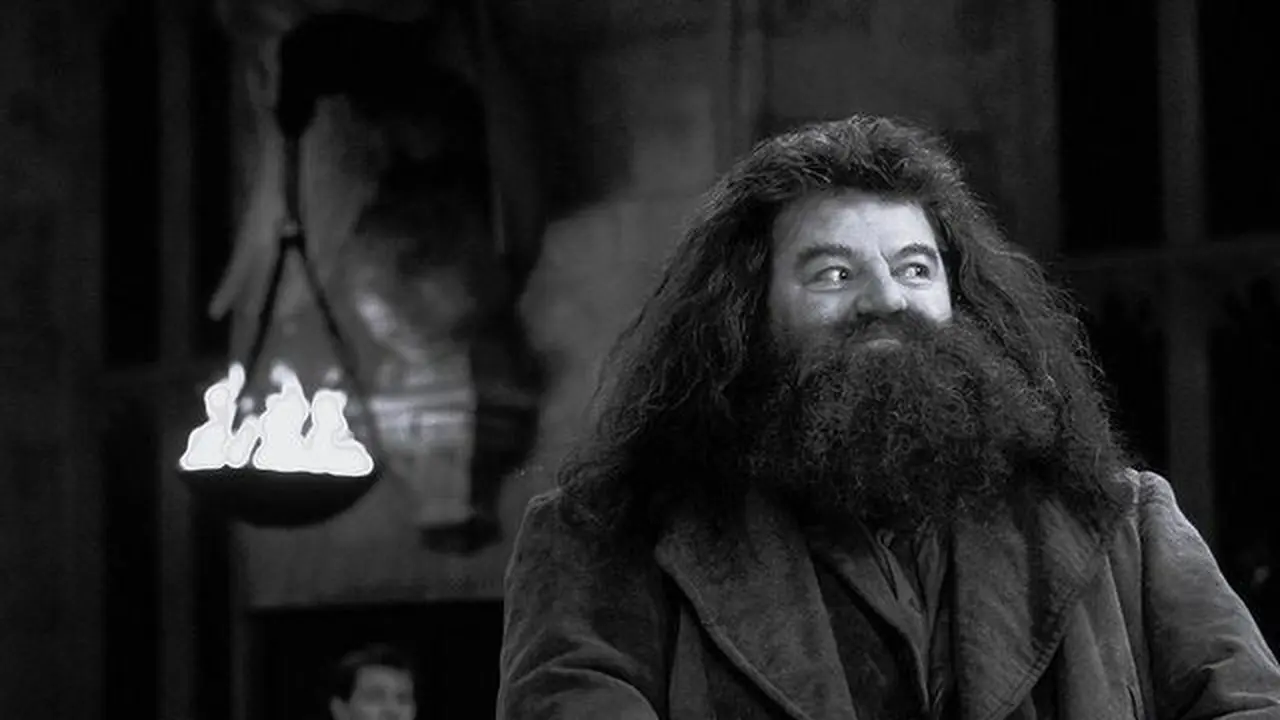 Karir Panjang Robbie Coltrone, Pemeran Hagrid di Harry Potter yang Meninggal di Usia 72 Tahun