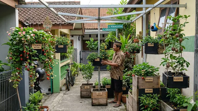 Taman Buah Gantung Berporos