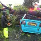  Sebuah mobil angkutan kota (angkot) tertimpa pohon besar di Makassar