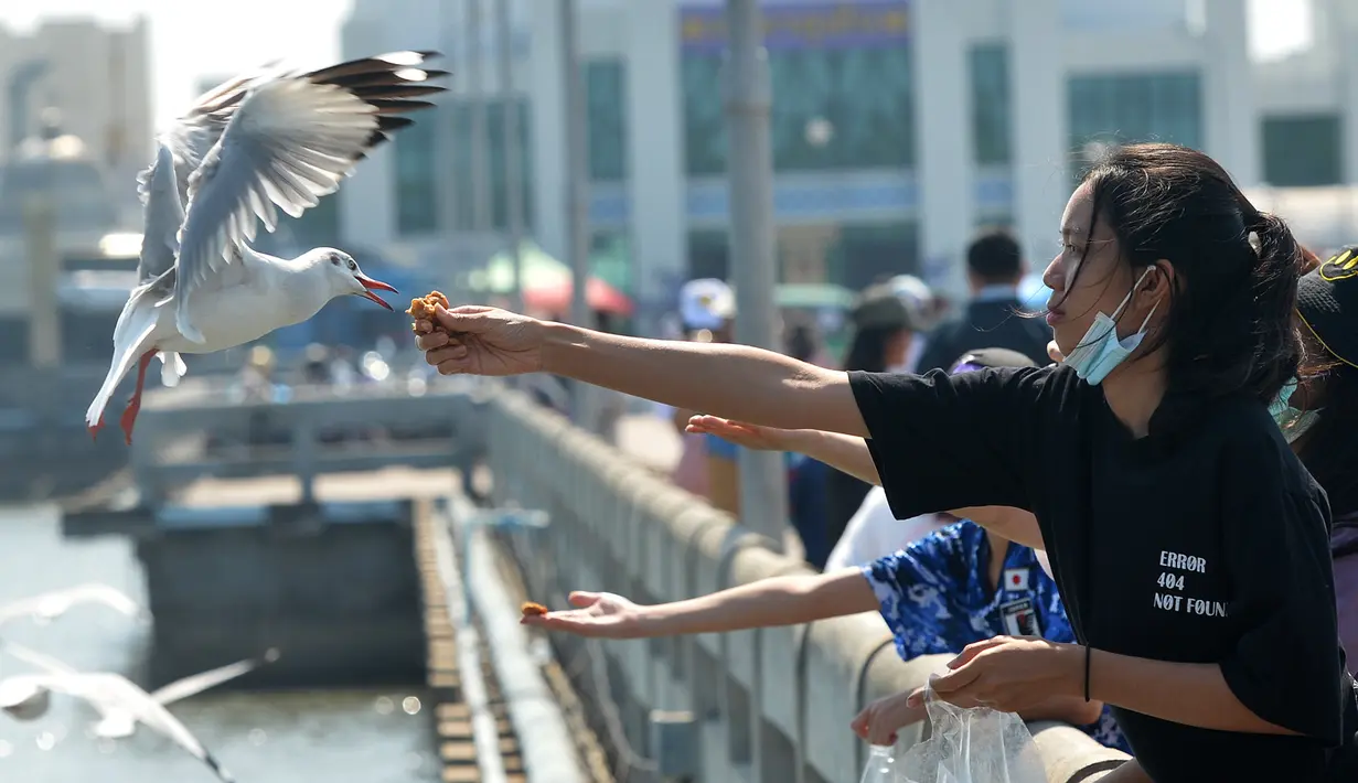 Para turis memberi makan burung camar di Resor Tepi Laut Bang Pu di Distrik Bang Pu, Provinsi Samut Prakarn, Thailand, pada 10 Desember 2020. Untuk menghindari cuaca dingin, kawanan burung camar terbang ke Resor Tepi Laut Bang Pu selama musim dingin. (Xinhua/Rachen Sageamsak)