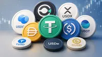 Visa Andalkan Strategi Multi-Chain, Tak Mau Jagokan Satu Stablecoin