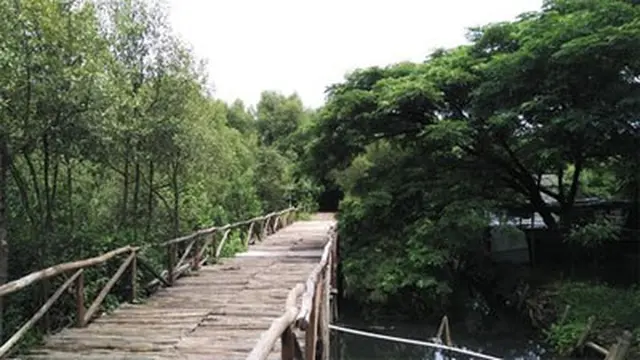 Taman Wisata Alam Mangrove